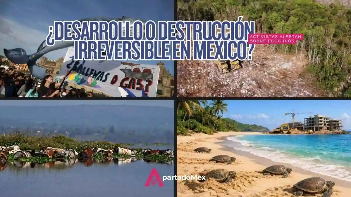 Ecocidios en México: el daño también es financiero