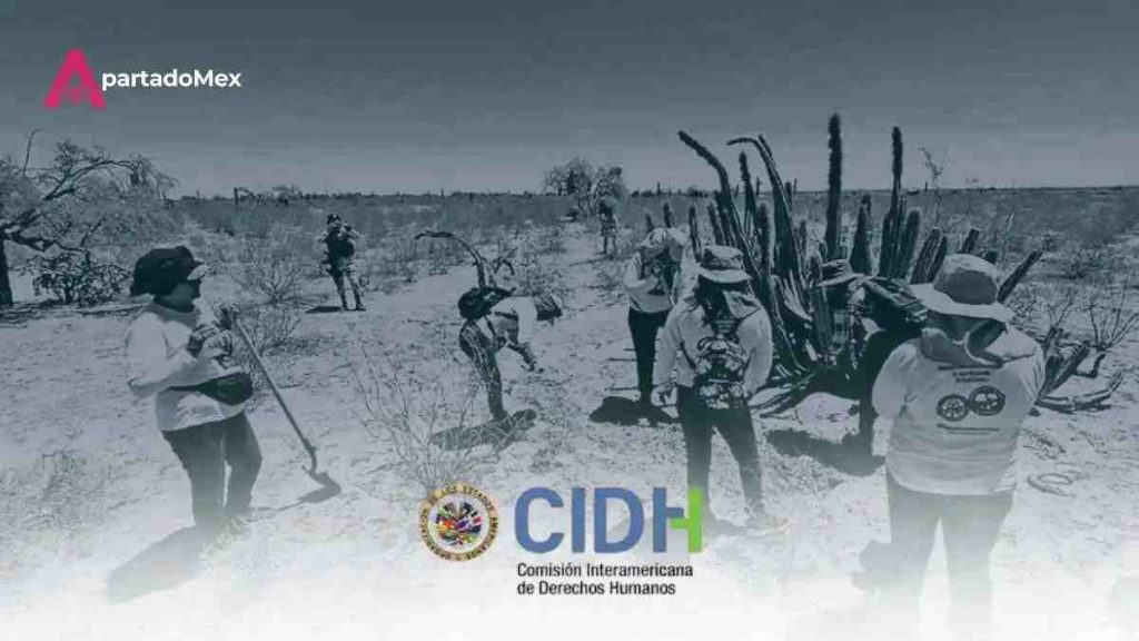 La CIDH confirma la crisis el costo real de las desapariciones forzadas de personas