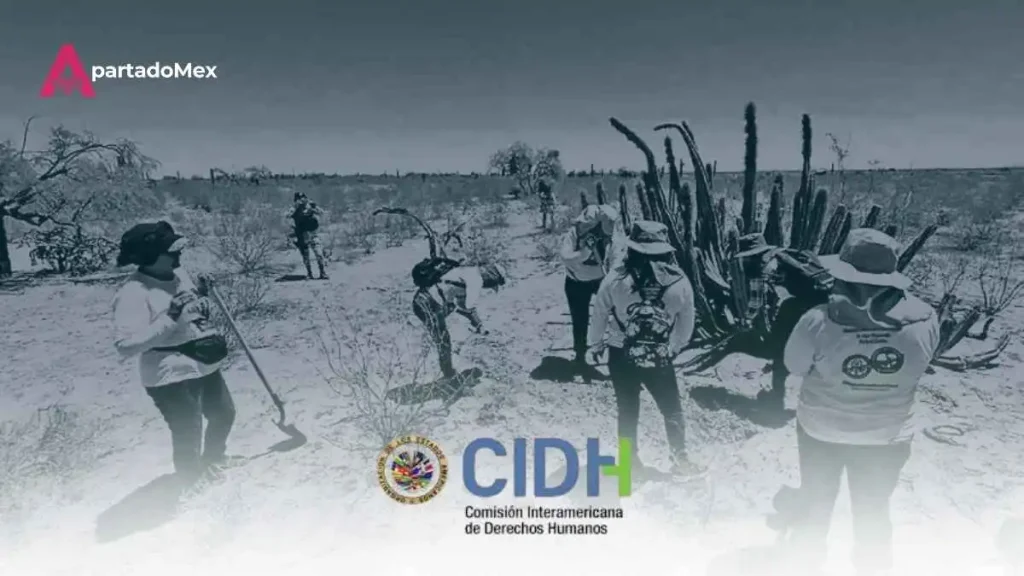 La CIDH confirma la crisis el costo real de las desapariciones forzadas de personas
