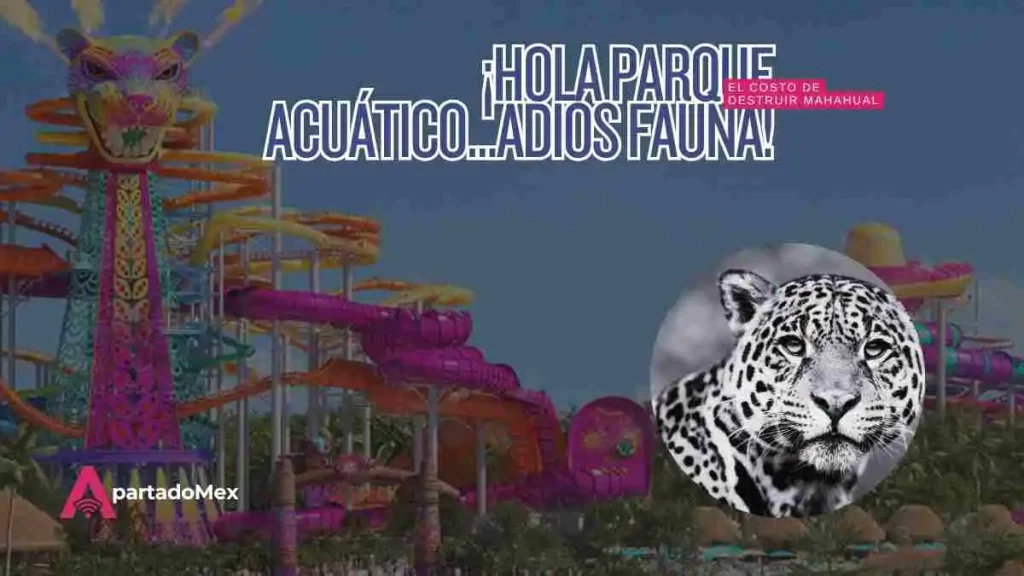 Mahahual atrae los ojos de México