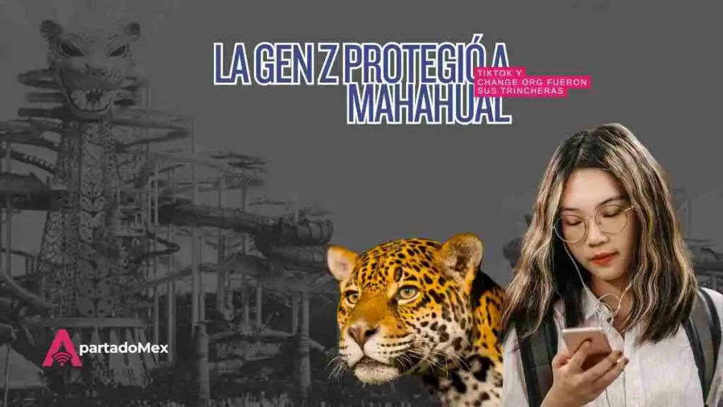 Mahahual y Tiktok dieron una lección a México operada por la Gen Z