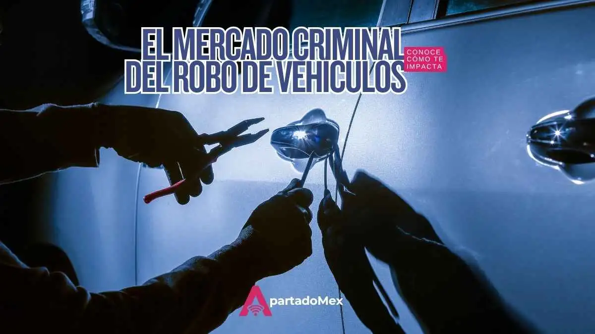 El robo de vehículos: cuando el delito se convierte en un mercado financiero