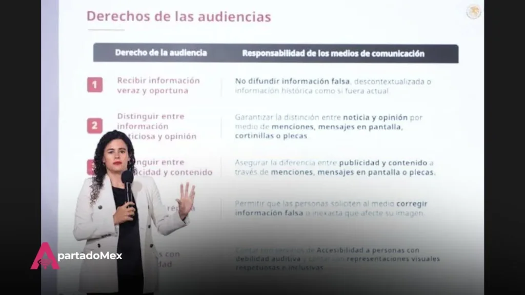 Presentación oficial de los Lineamientos sobre derechos de la audiencia.