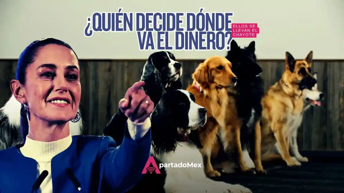El precio de la obediencia en el gasto de comunicación oficial… el chayote