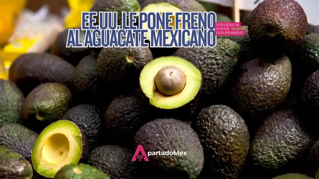 Exportaciones de aguacate: EU frena envíos por amenazas