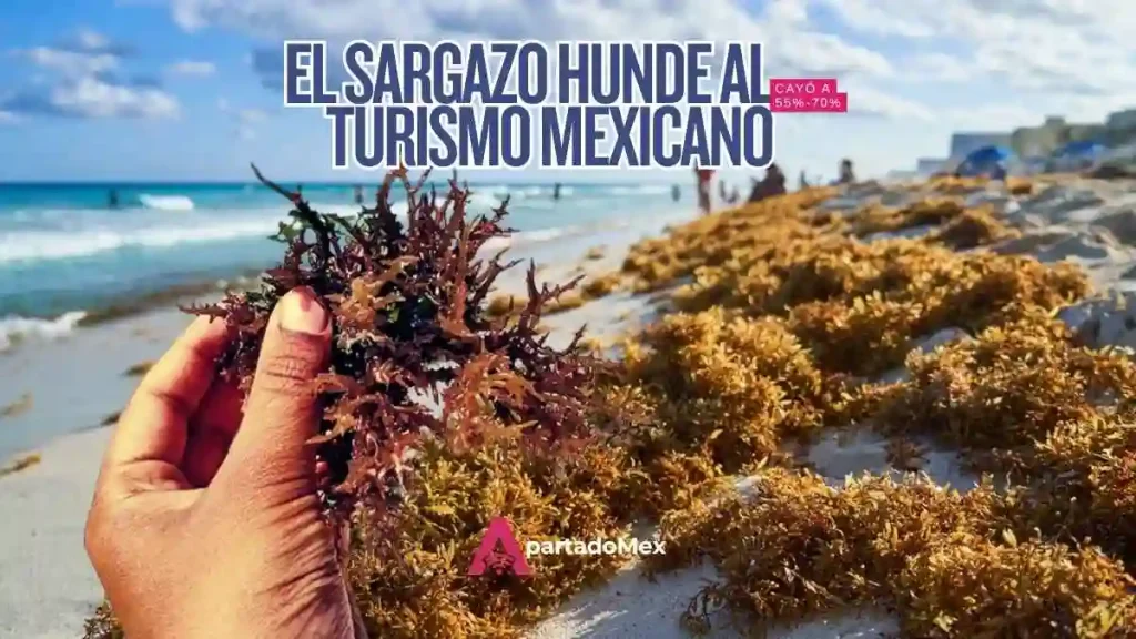 Ocupación hotelera en México se desploma hoy por crisis de sargazo