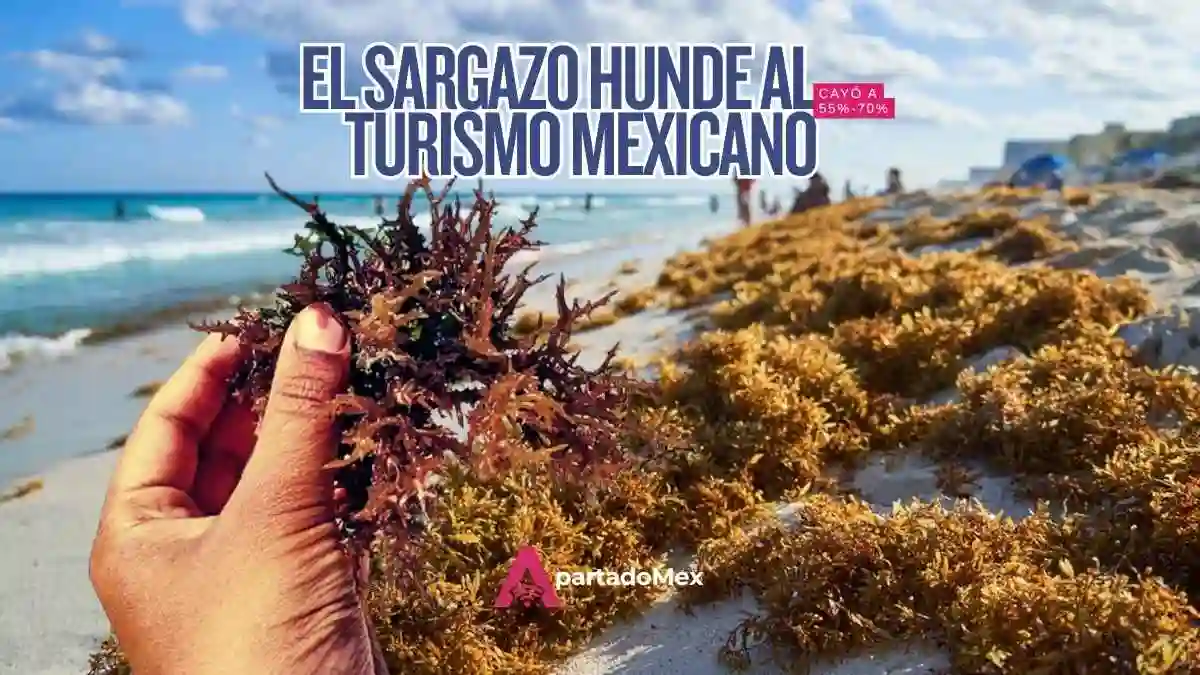 Ocupación hotelera en México se desploma hoy por crisis de sargazo