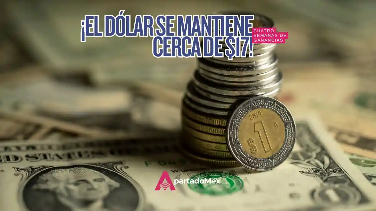 Tipo de cambio oficial hoy: el dólar se ubica en $17.0638