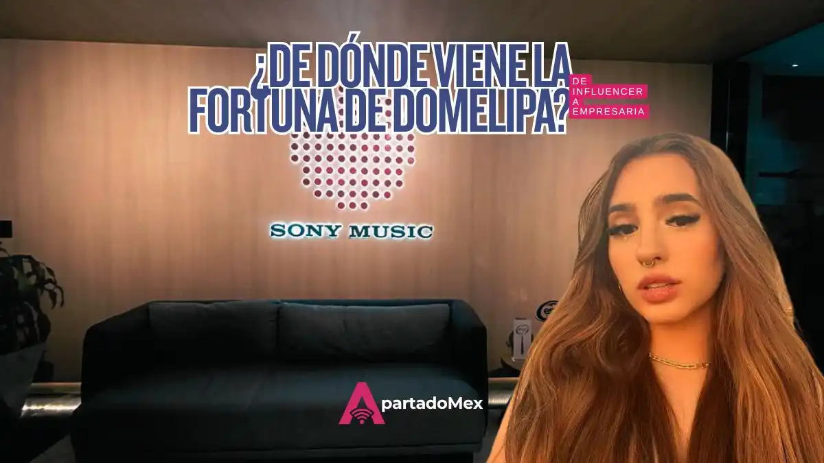 ¿De dónde viene la fortuna de Domelipa? Su patrimonio y sus negocios