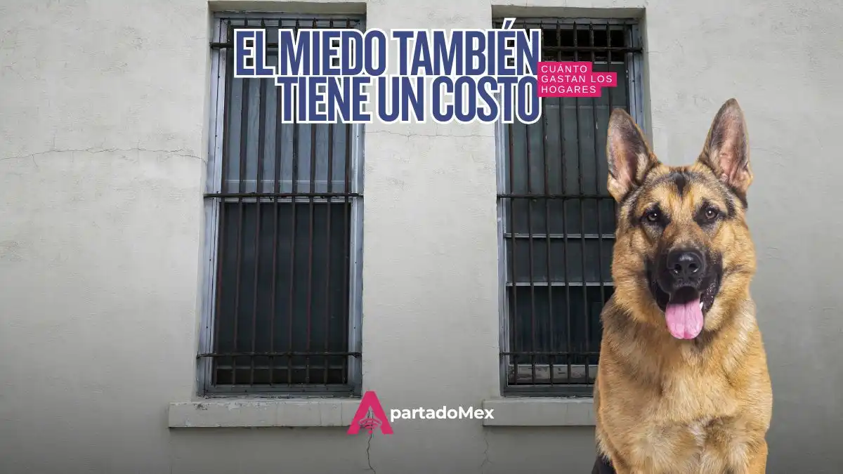 Cuánto gastaron los hogares mexicanos en protegerse de la inseguridad en 2025