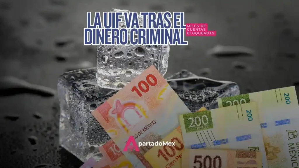 La UIF ya bloqueó 24,622 cuentas de cárteles