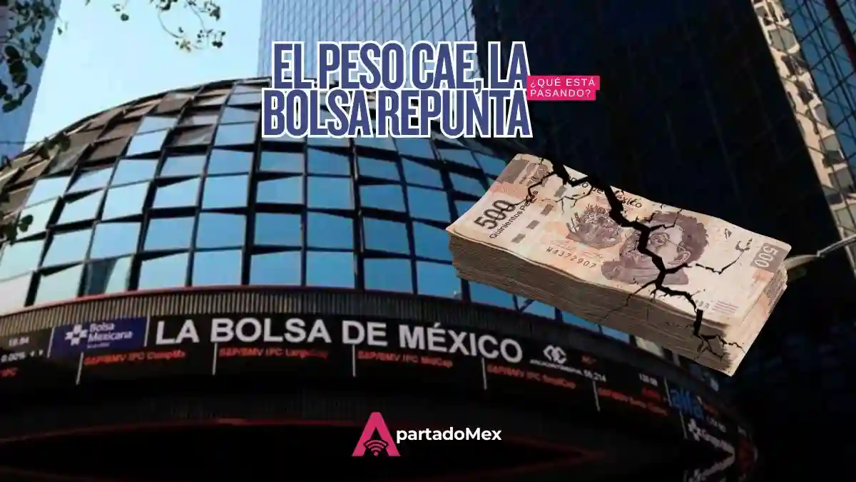 El peso suma seis semanas a la baja