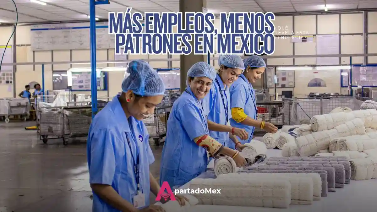 Récord de empleo, con menos patrones