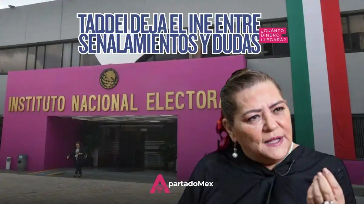 Taddei deja el INE