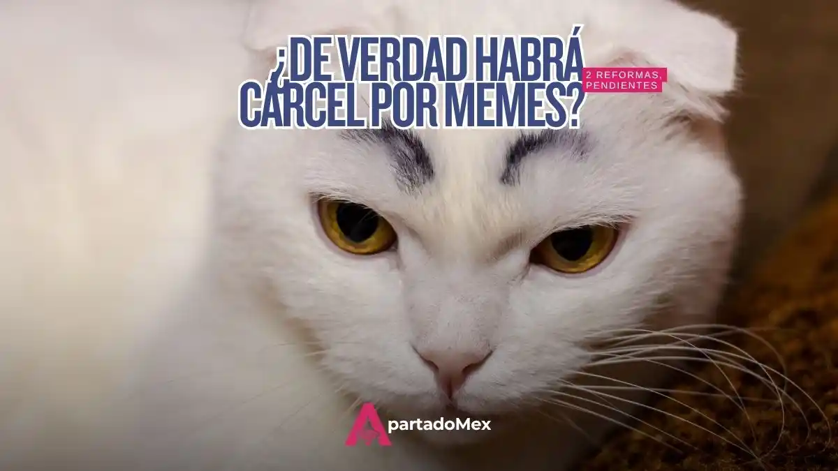 ¿Cárcel por un meme? La "Ley Antimemes": dos reformas sin claridad